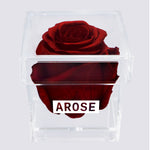 Load image into Gallery viewer, BURGUNDY