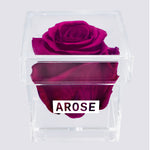 Load image into Gallery viewer, PLUM