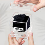 Load image into Gallery viewer, BLACK