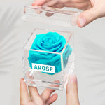 Load image into Gallery viewer, TIFFANY