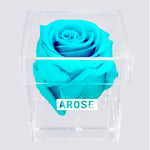 Load image into Gallery viewer, TIFFANY