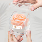 Load image into Gallery viewer, BLUSH