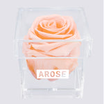 Load image into Gallery viewer, BLUSH