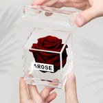 Load image into Gallery viewer, BURGUNDY