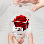 Load image into Gallery viewer, DEEP RED