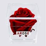 Load image into Gallery viewer, DEEP RED