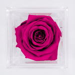 Load image into Gallery viewer, FUSCHSIA