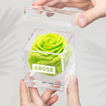 Load image into Gallery viewer, LIME