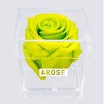 Load image into Gallery viewer, LIME