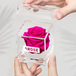 Load image into Gallery viewer, HOT PINK