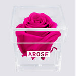 Load image into Gallery viewer, HOT PINK