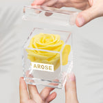 Load image into Gallery viewer, LIGHT YELLOW