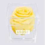 Load image into Gallery viewer, LIGHT YELLOW