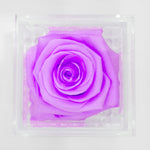 Load image into Gallery viewer, LILAC