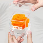 Load image into Gallery viewer, ORANGE