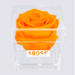 Load image into Gallery viewer, ORANGE