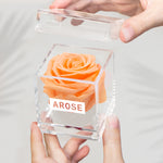 Load image into Gallery viewer, PEACH