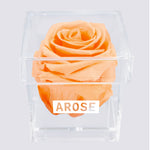 Load image into Gallery viewer, PEACH