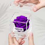 Load image into Gallery viewer, PURPLE