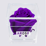 Load image into Gallery viewer, PURPLE