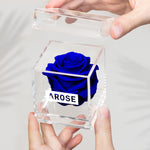 Load image into Gallery viewer, ROYAL BLUE