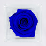 Load image into Gallery viewer, ROYAL BLUE