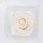 Load image into Gallery viewer, WHITE