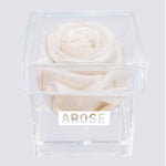 Load image into Gallery viewer, WHITE