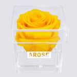 Load image into Gallery viewer, YELLOW